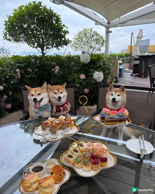 今次約埋朋友仔去嘆米芝蓮一星餐廳既下午茶☕️