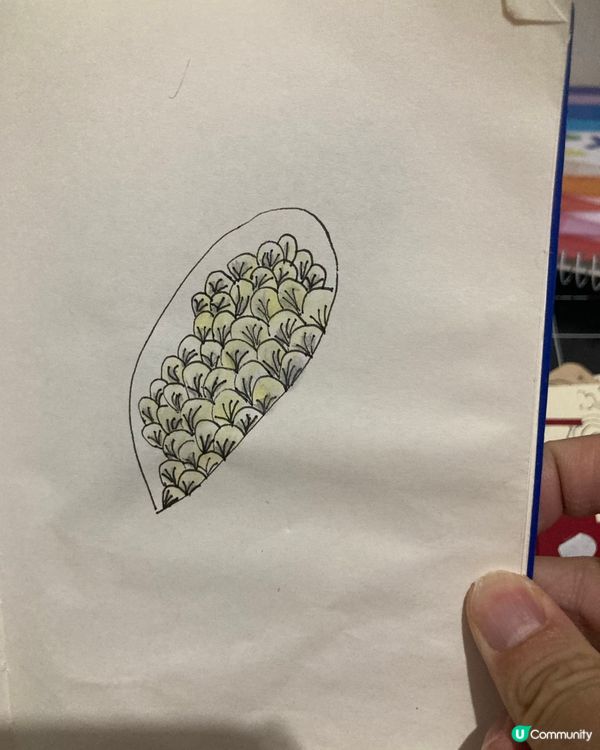 重遊彩虹邨 遇上元朗的貓咪 心理畫作的分享