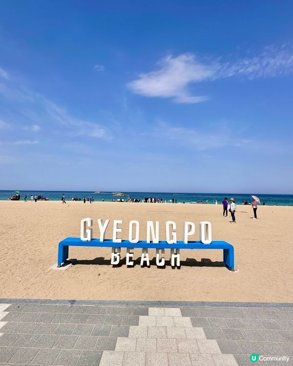 🇰🇷海風＋花香超療癒！江陵鏡浦海水浴場好影又好chill！