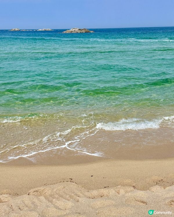 🇰🇷海風＋花香超療癒！江陵鏡浦海水浴場好影又好chill！