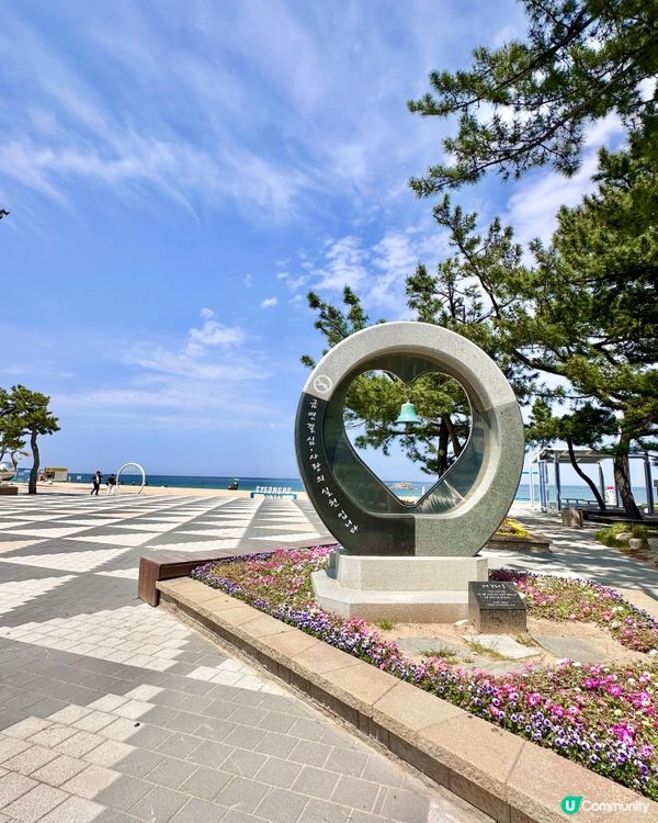 🇰🇷海風＋花香超療癒！江陵鏡浦海水浴場好影又好chill！