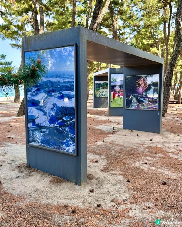 🇰🇷海風＋花香超療癒！江陵鏡浦海水浴場好影又好chill！