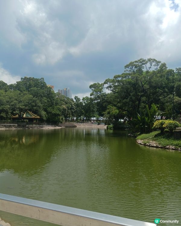 🌸🌸屯門公園景色🌸🌸~