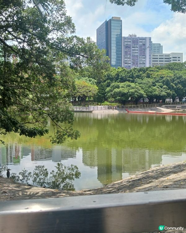 🌸🌸屯門公園景色🌸🌸~