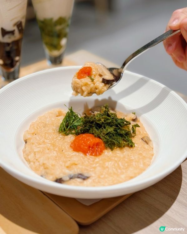 啟德京都抹茶天堂🍵  日本過江龍必試！