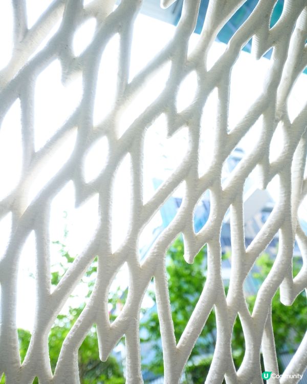 織愛 . 將軍澳區 打卡 留住愛時刻