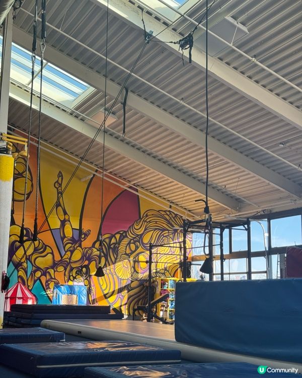 加拿大生活碎片🧩