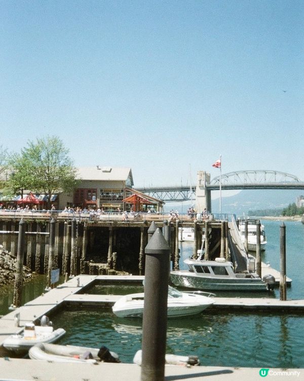 加拿大生活碎片🧩