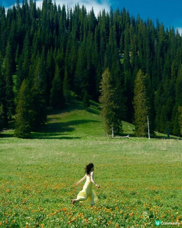 好輕鬆啊，一點也不焦慮了