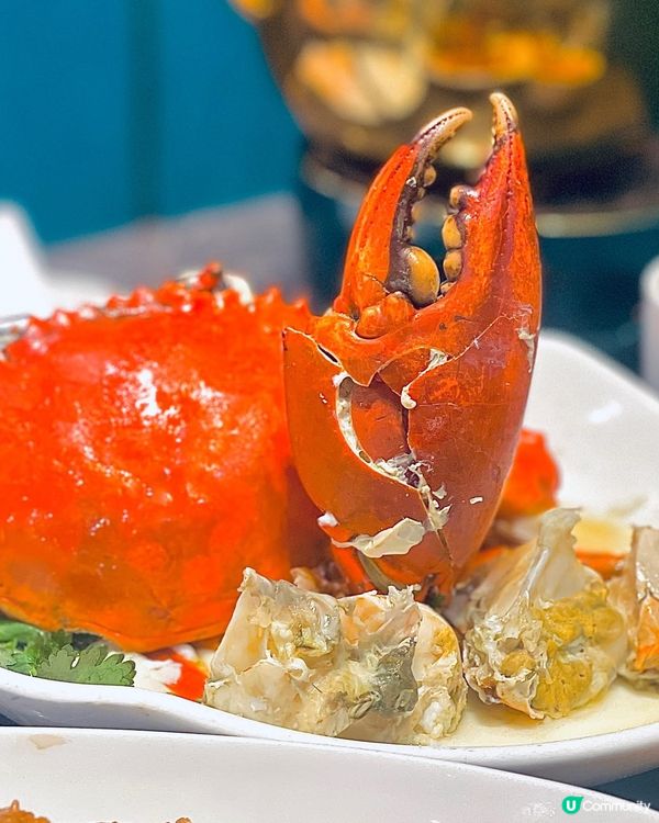 花雕雞油蒸蟹大隻多肉又唔貴🫶