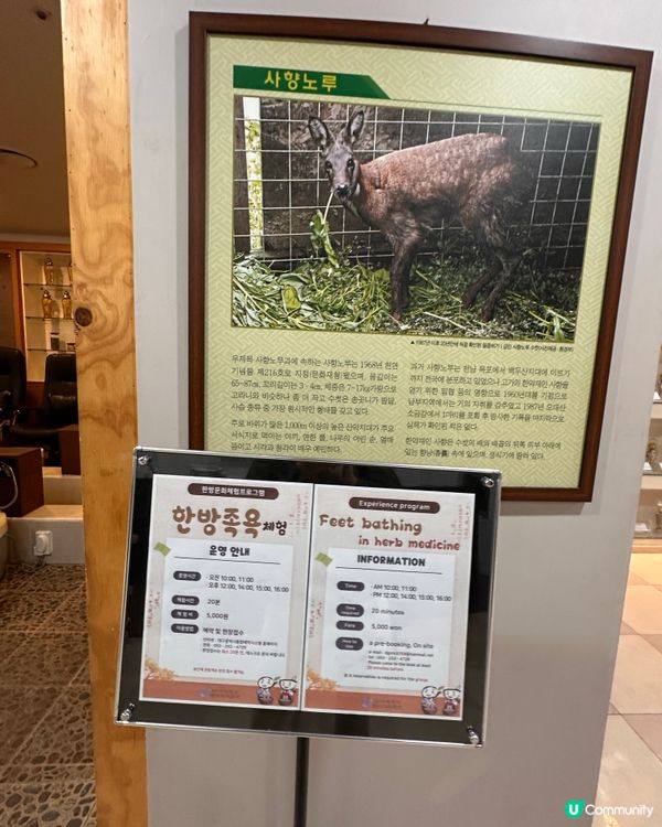 🇰🇷韓國大邱藥令市場韓醫藥博物館‼️藥材足浴體驗‼️養生又打卡～