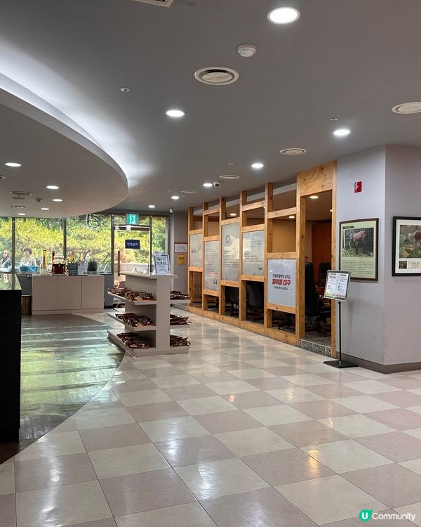 🇰🇷韓國大邱藥令市場韓醫藥博物館‼️藥材足浴體驗‼️養生又打卡～