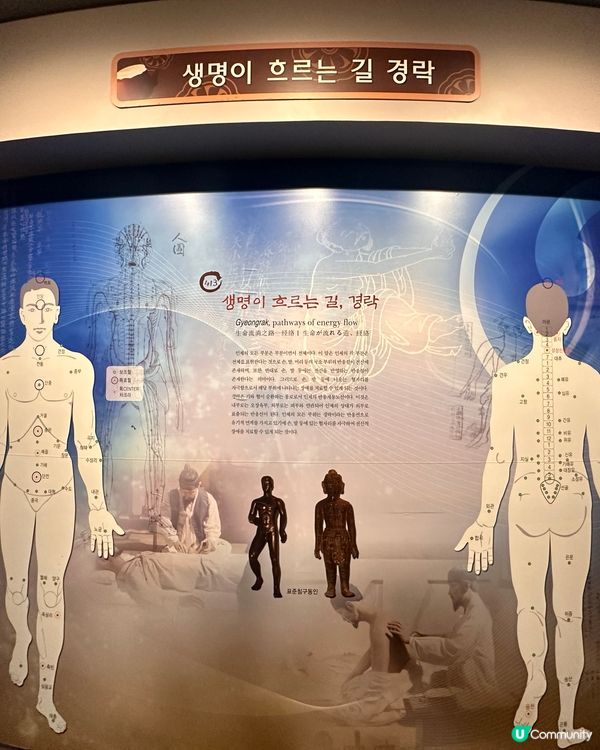 🇰🇷韓國大邱藥令市場韓醫藥博物館‼️藥材足浴體驗‼️養生又打卡～