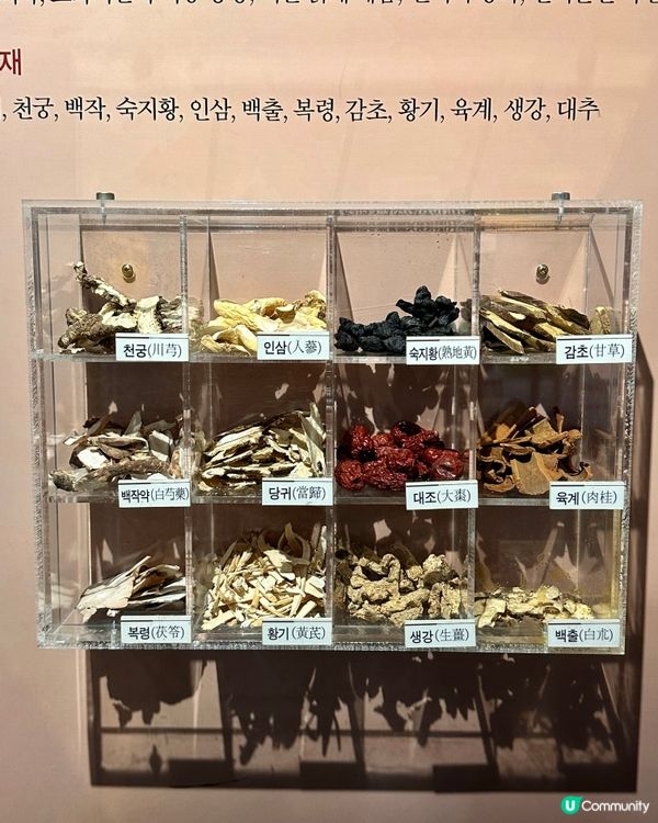 🇰🇷韓國大邱藥令市場韓醫藥博物館‼️藥材足浴體驗‼️養生又打卡～