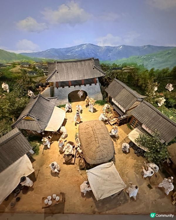 🇰🇷韓國大邱藥令市場韓醫藥博物館‼️藥材足浴體驗‼️養生又打卡～