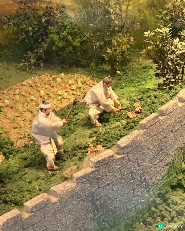 🇰🇷韓國大邱藥令市場韓醫藥博物館‼️藥材足浴體驗‼️養生又打卡～