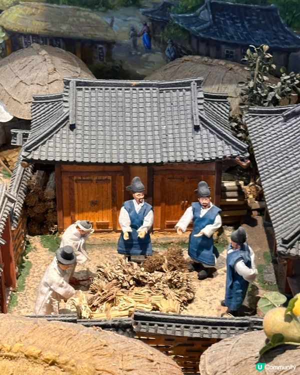 🇰🇷韓國大邱藥令市場韓醫藥博物館‼️藥材足浴體驗‼️養生又打卡～