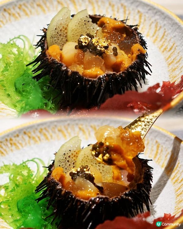 Ｉ 海膽盛宴23品Omakase ・鉄板燒 Ｉ觀塘人氣 菊月町 Ｉ