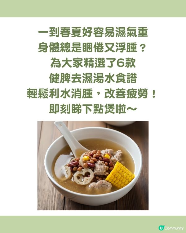 6款健脾袪濕湯水食譜：輕鬆利水、告別疲勞！