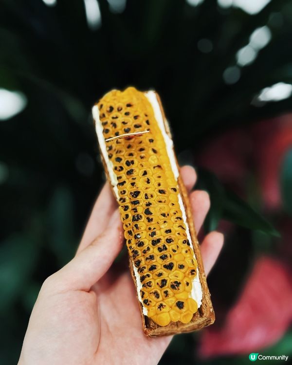 🇨🇳| 深圳 - 探索塔撻Tart的U型系列!🍰✨