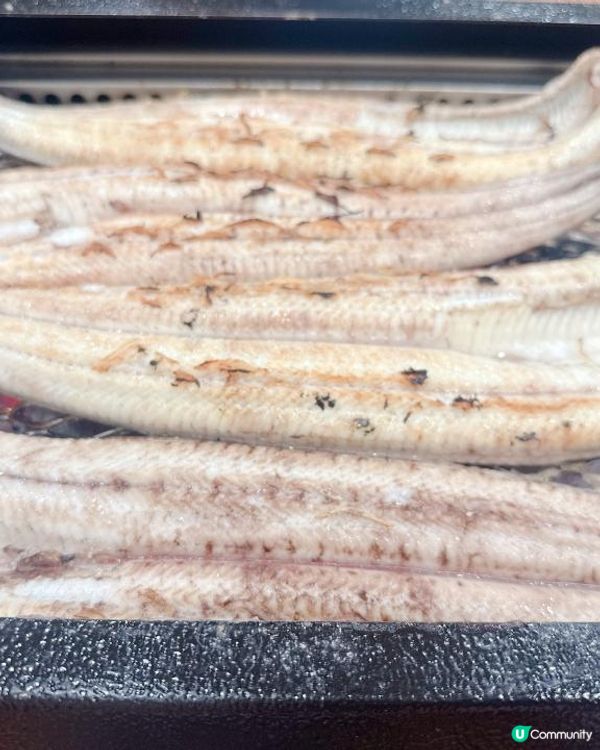 性價比超高炭火烤鰻魚  