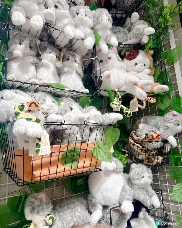 水豚毛公仔超可愛😍卓悦滙店必逛！