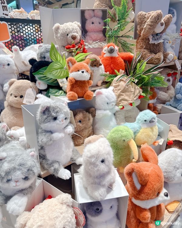 水豚毛公仔超可愛😍卓悦滙店必逛！