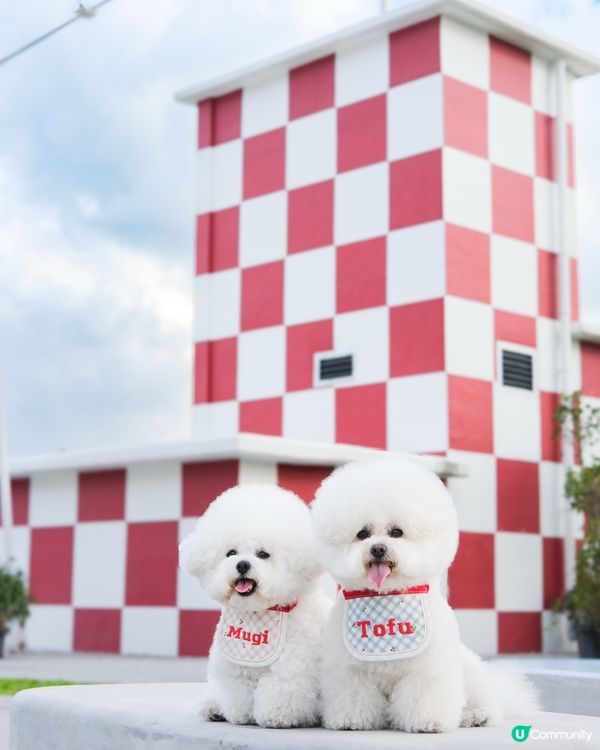 靚巾配打卡位，絕配！☀️📸