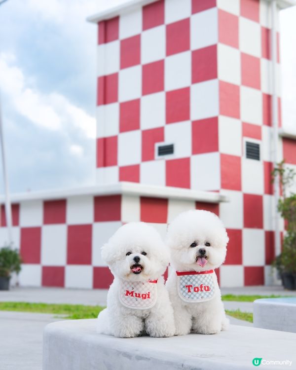 靚巾配打卡位，絕配！☀️📸