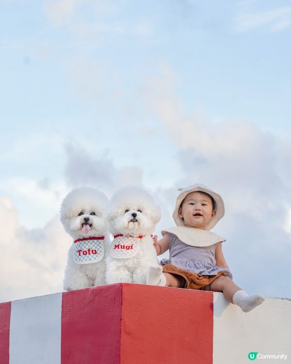 靚巾配打卡位，絕配！☀️📸