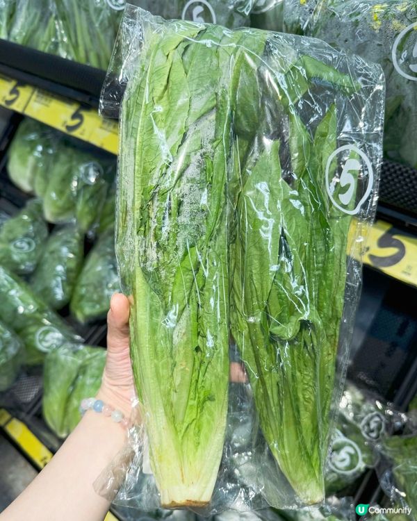 🥬新鮮蔬菜 $5「鮮至抵食」？