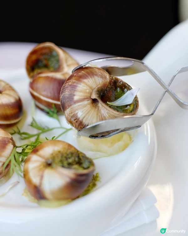 下午茶🫖Hotel ICON與𝗟𝗘 𝗖𝗥𝗘𝗨𝗦𝗘𝗧合作