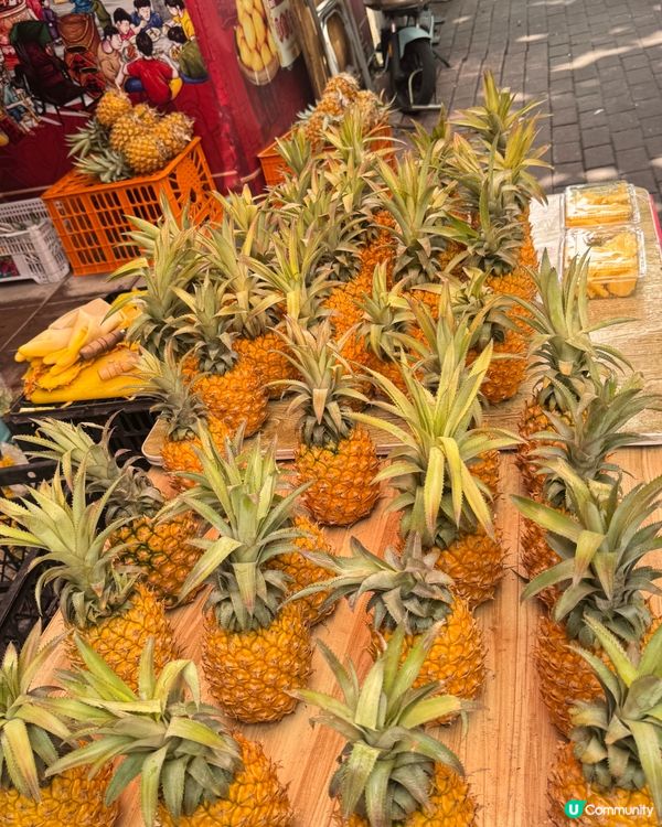 五月出發湛江遊 🏖️