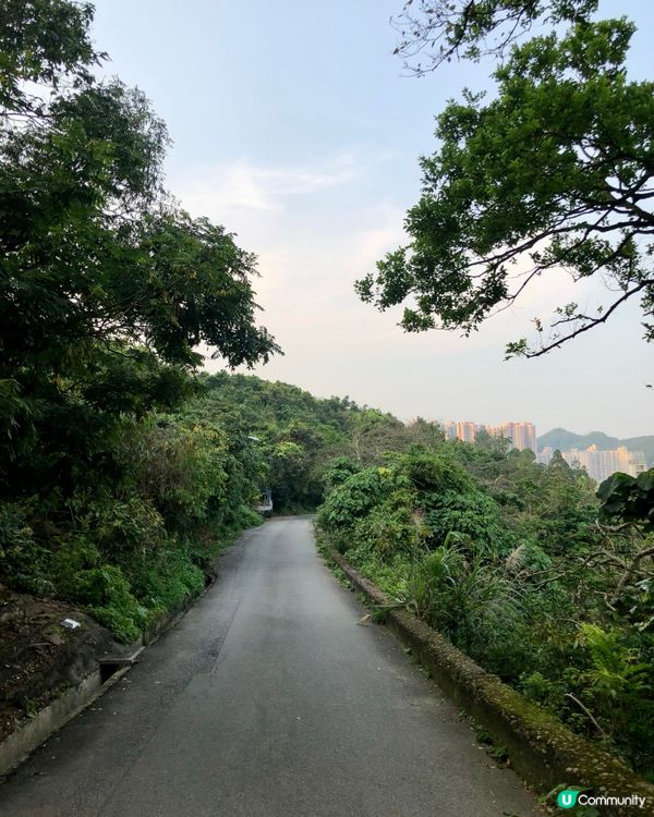 寶林隱世打卡點 - 茅湖山廢堡 🏰