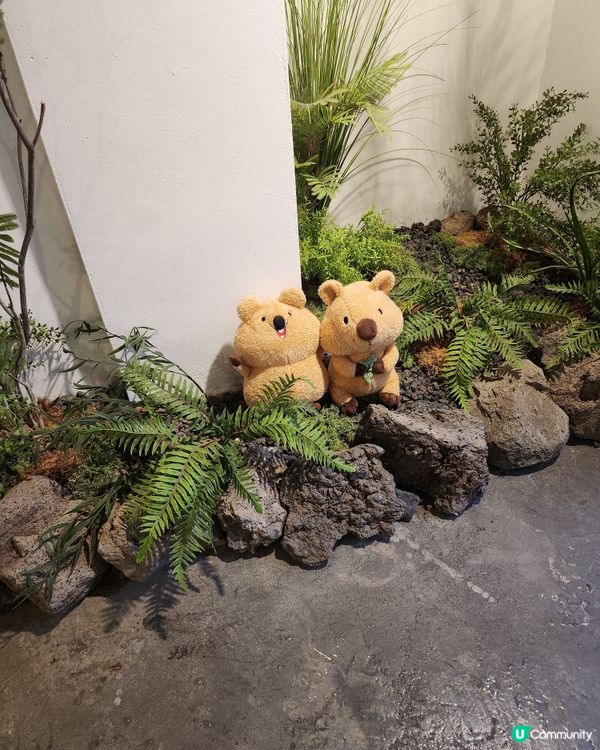 🇰🇷收埋係韓國弘大巷子裏既梳乎厘Cafe