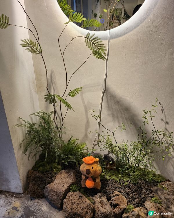 🇰🇷收埋係韓國弘大巷子裏既梳乎厘Cafe