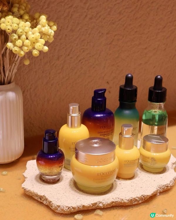 蠟菊體驗館✨銅鑼灣崇光登場！