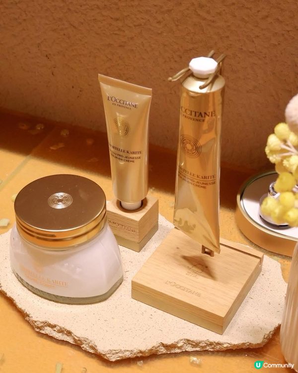 蠟菊體驗館✨銅鑼灣崇光登場！