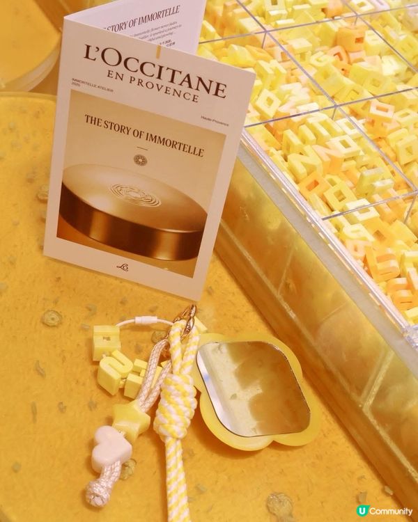 蠟菊體驗館✨銅鑼灣崇光登場！