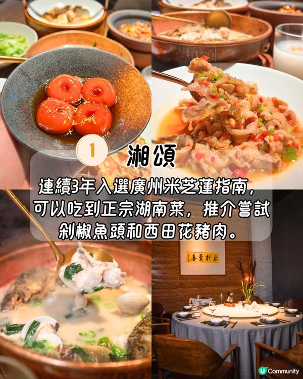 福田PA MALL煥新開幕！或成星河COCO Park強勁對手🏬六成商店為深圳首店～必打卡巨型金色孔雀/4間人氣餐廳推介