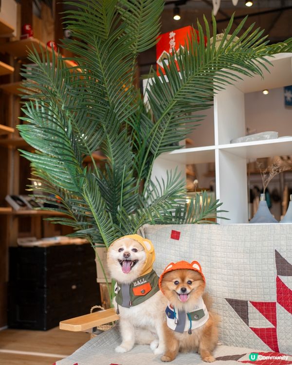 日本潮牌新店登場㊗️消費$300☕️免費嘆Snow Peak咖啡