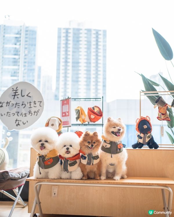 日本潮牌新店登場㊗️消費$300☕️免費嘆Snow Peak咖啡