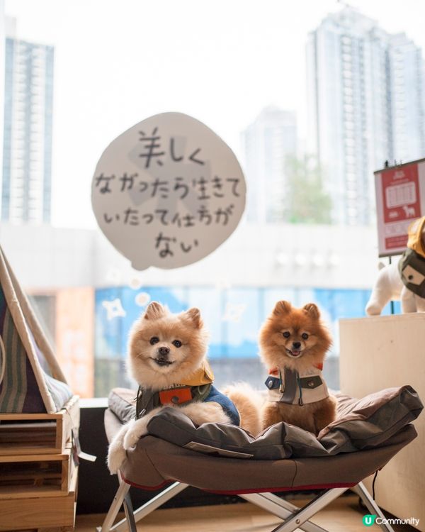 日本潮牌新店登場㊗️消費$300☕️免費嘆Snow Peak咖啡