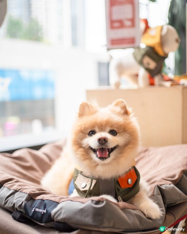 日本潮牌新店登場㊗️消費$300☕️免費嘆Snow Peak咖啡