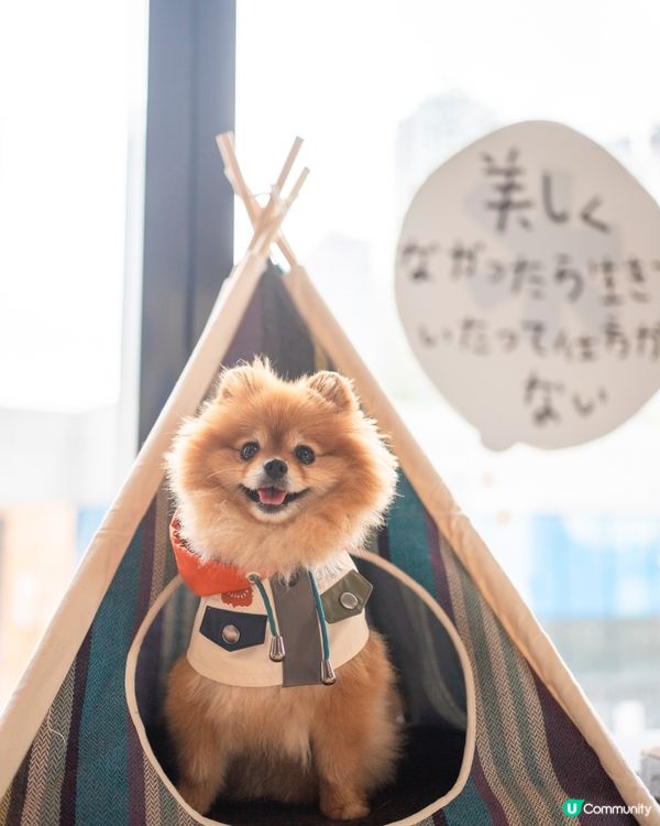 日本潮牌新店登場㊗️消費$300☕️免費嘆Snow Peak咖啡