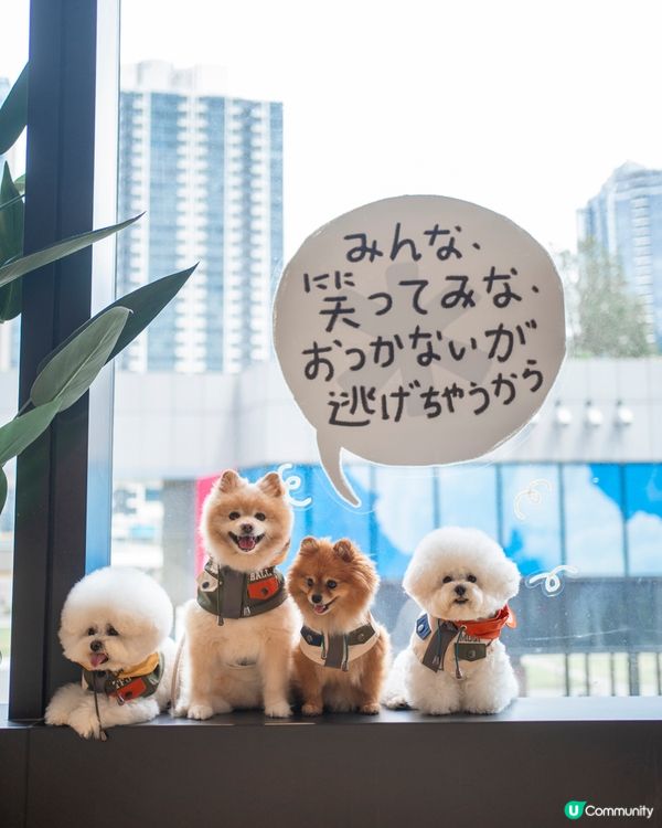 日本潮牌新店登場㊗️消費$300☕️免費嘆Snow Peak咖啡