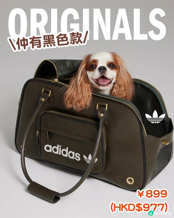 寵物都有運動衫⁉️adidas Originals寵物系列開售🔥可著親子裝/復古仿皮寵物袋💸附售價
