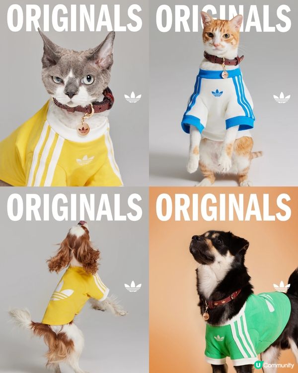 寵物都有運動衫⁉️adidas Originals寵物系列開售🔥可著親子裝/復古仿皮寵物袋💸附售價