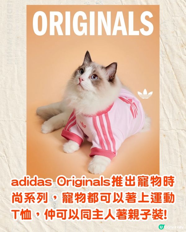 寵物都有運動衫⁉️adidas Originals寵物系列開售🔥可著親子裝/復古仿皮寵物袋💸附售價