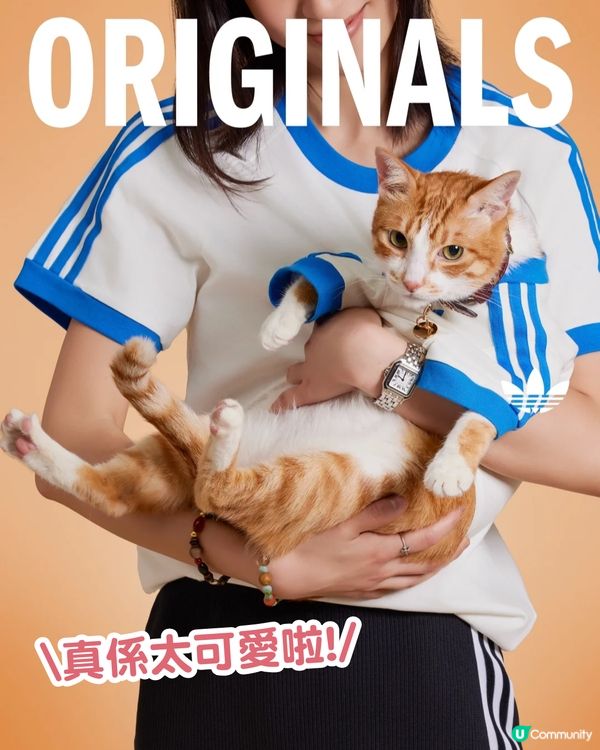 寵物都有運動衫⁉️adidas Originals寵物系列開售🔥可著親子裝/復古仿皮寵物袋💸附售價